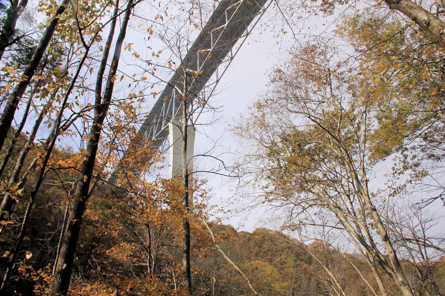 Glade Creek Trail 